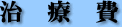 治療費